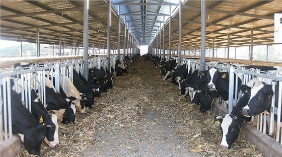 艾思捷定制款PGV035系列減速機--應用在畜牧業、飼料行業 (2).jpg